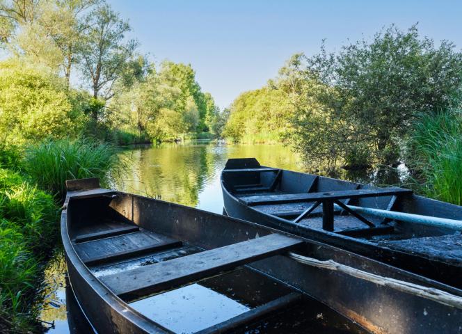 Chalands sur la Presqu'île de Guérande