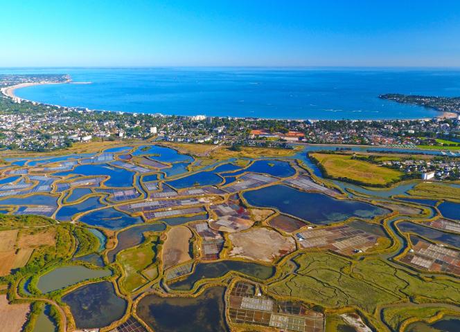 Marais salants en Guérande