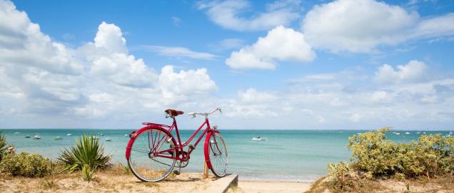 location ile de ré camping