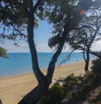 Bois de la Chaise Ile de Noirmoutier Vendée