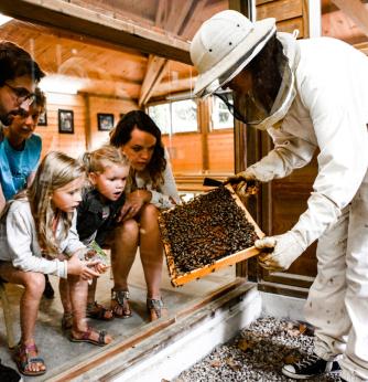 Folie de Finfarine proche camping Le Petit Rocher